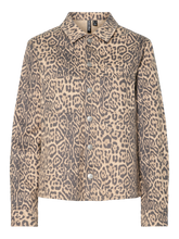 Ladda upp bild till gallerivisning, pack_shot-front